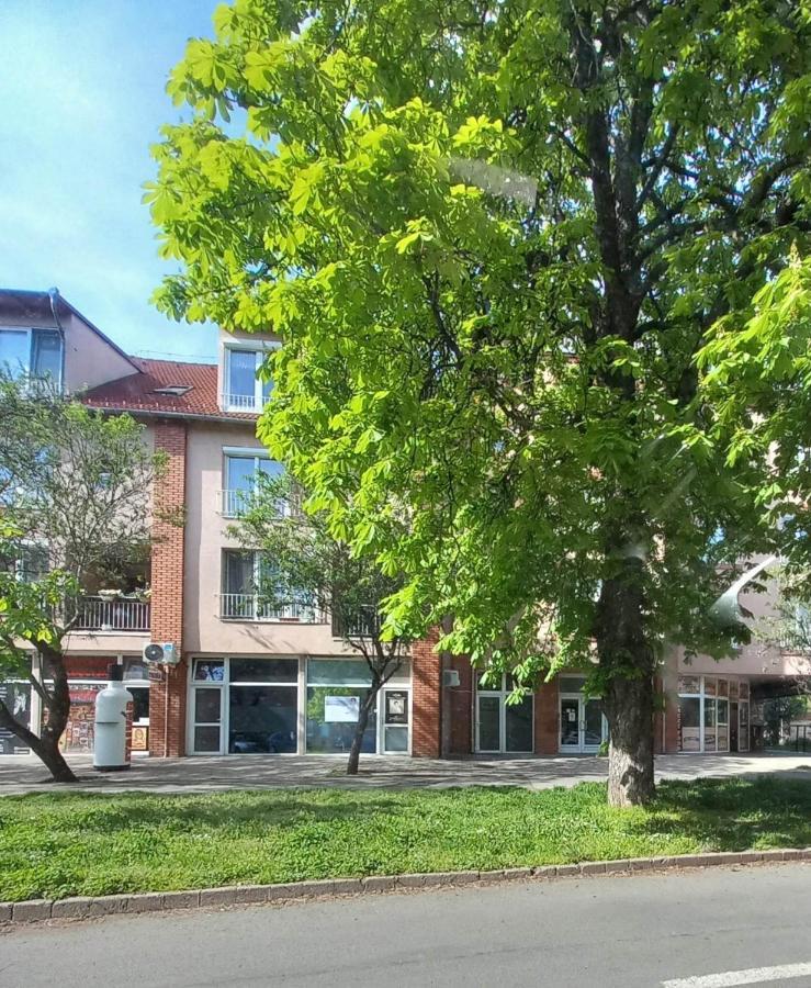 Rozsa Apartman Кестхей Экстерьер фото